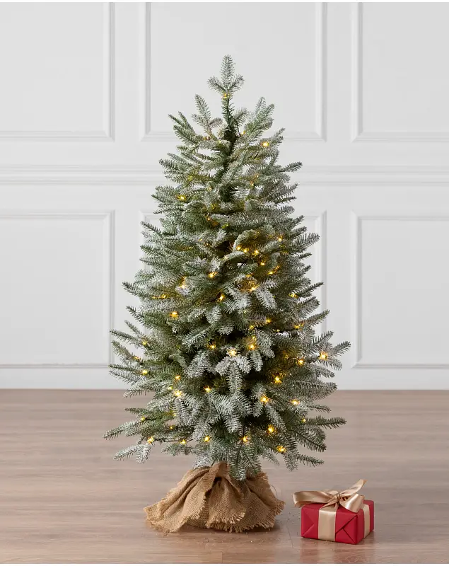 Frosted BH Balsam Fir Tabletop 42 inches LEDCF by Balsam Hill SSC