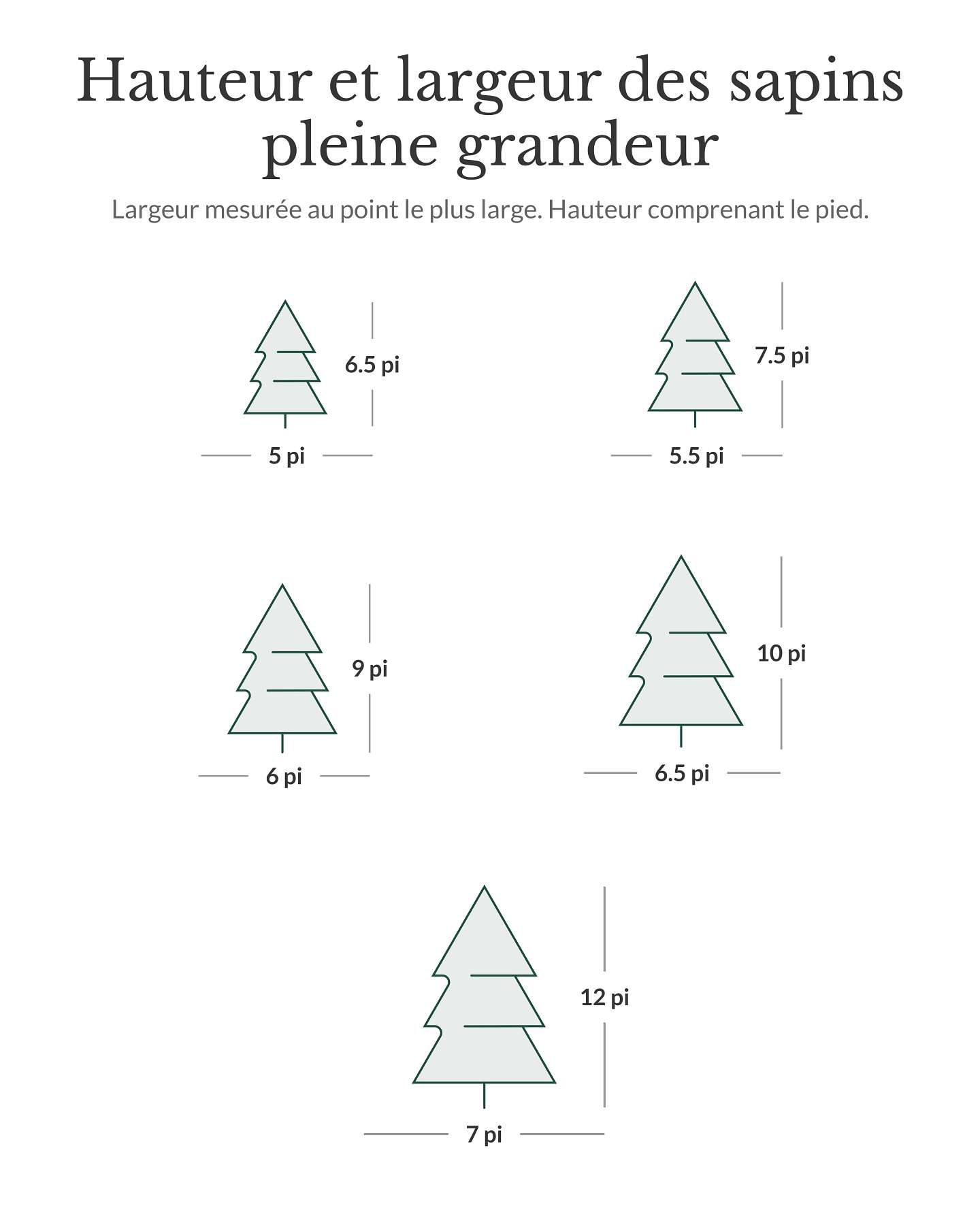Épinette Vermont White Spruce® de 6,5 pi