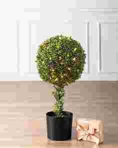 Outdoor Single Ball Boxwood Topiary by Balsam Hill SSC