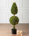 Outdoor Finial Boxwood Topiary by Balsam Hill SSC