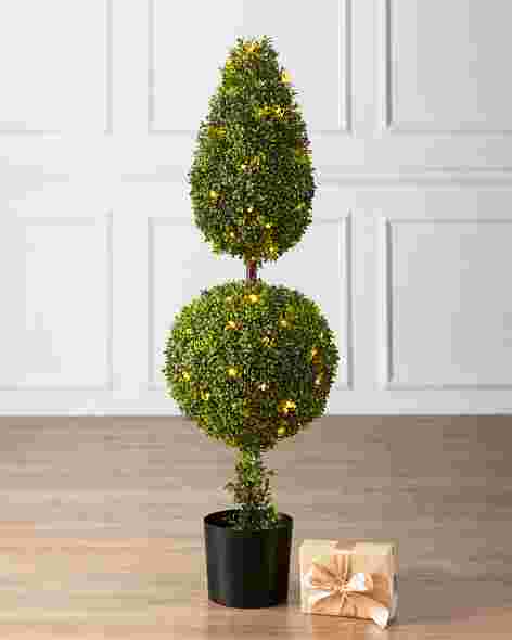 Outdoor Finial Boxwood Topiary by Balsam Hill SSC