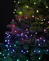 31ft Cluster Twinkly Light String by Balsam Hill Closeup 10