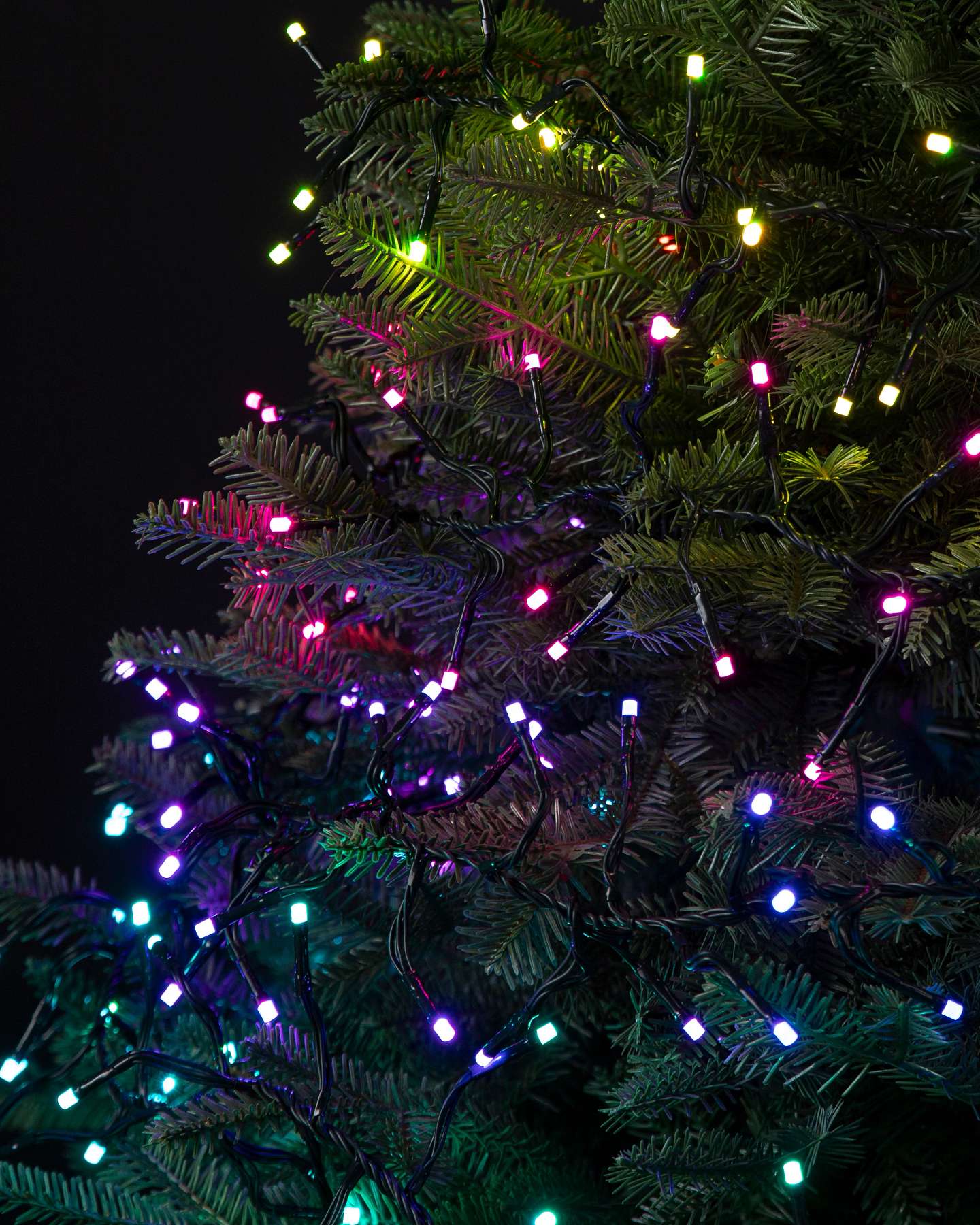 Balsam Hill 31-Feet Cluster Twinkly Light String with LED Lights in Dark Room Setting