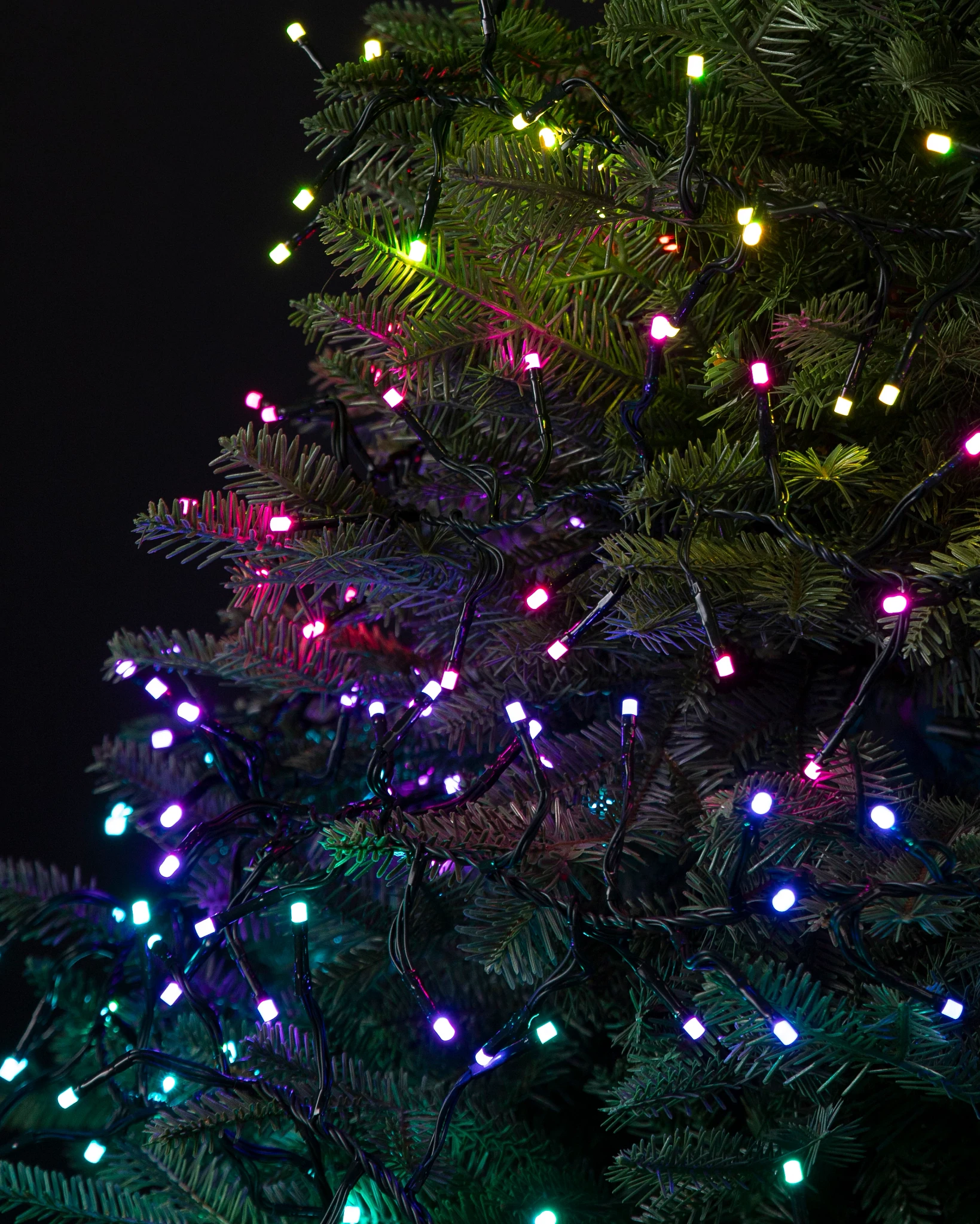 Twinkly Cluster Lights