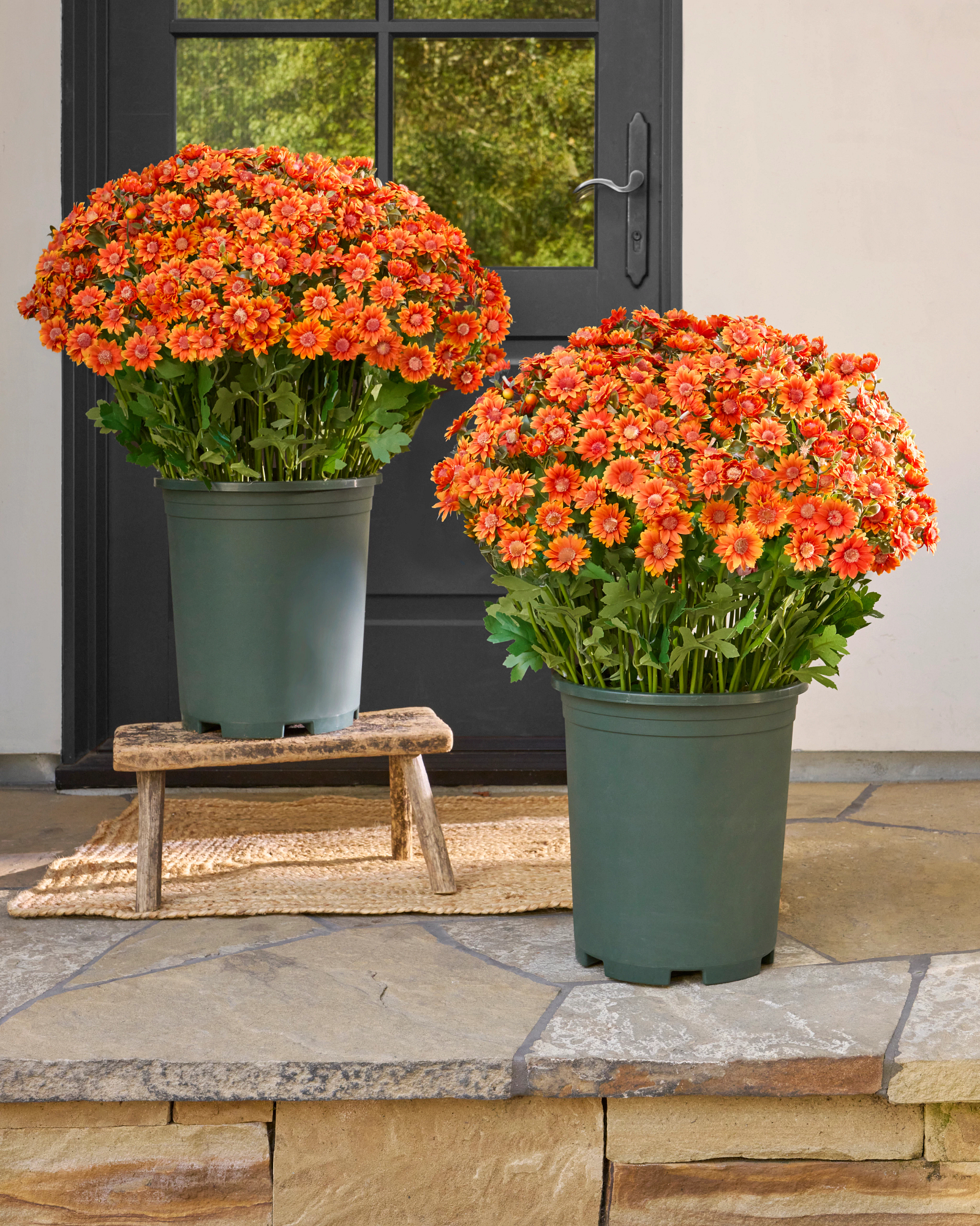 Orange Outdoor Sunset Mums Artificial Fall Pot Filler Set Balsam