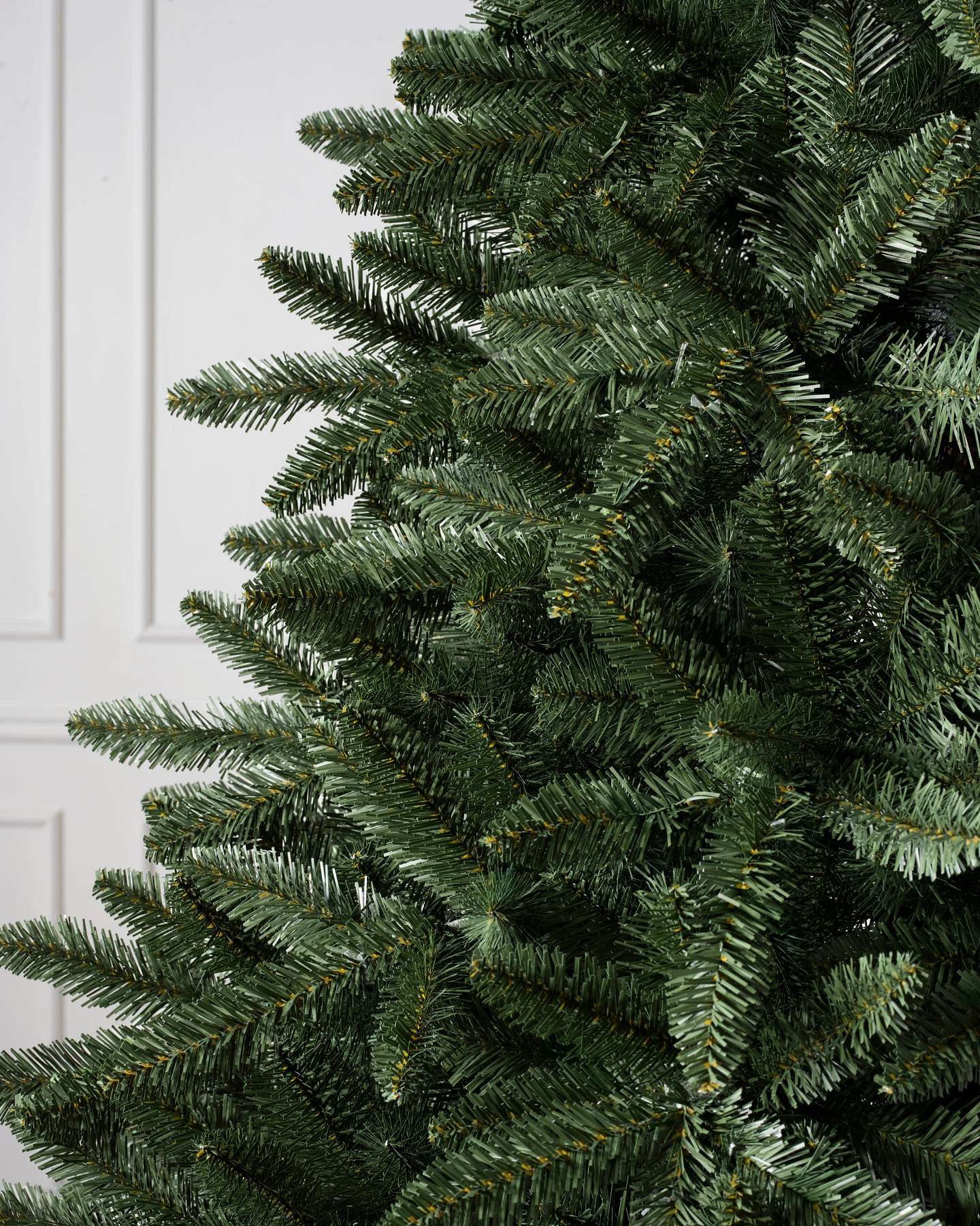 Classic Douglas Fir
