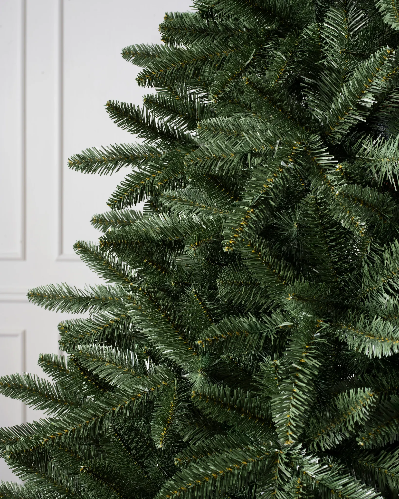 Classic Douglas Fir