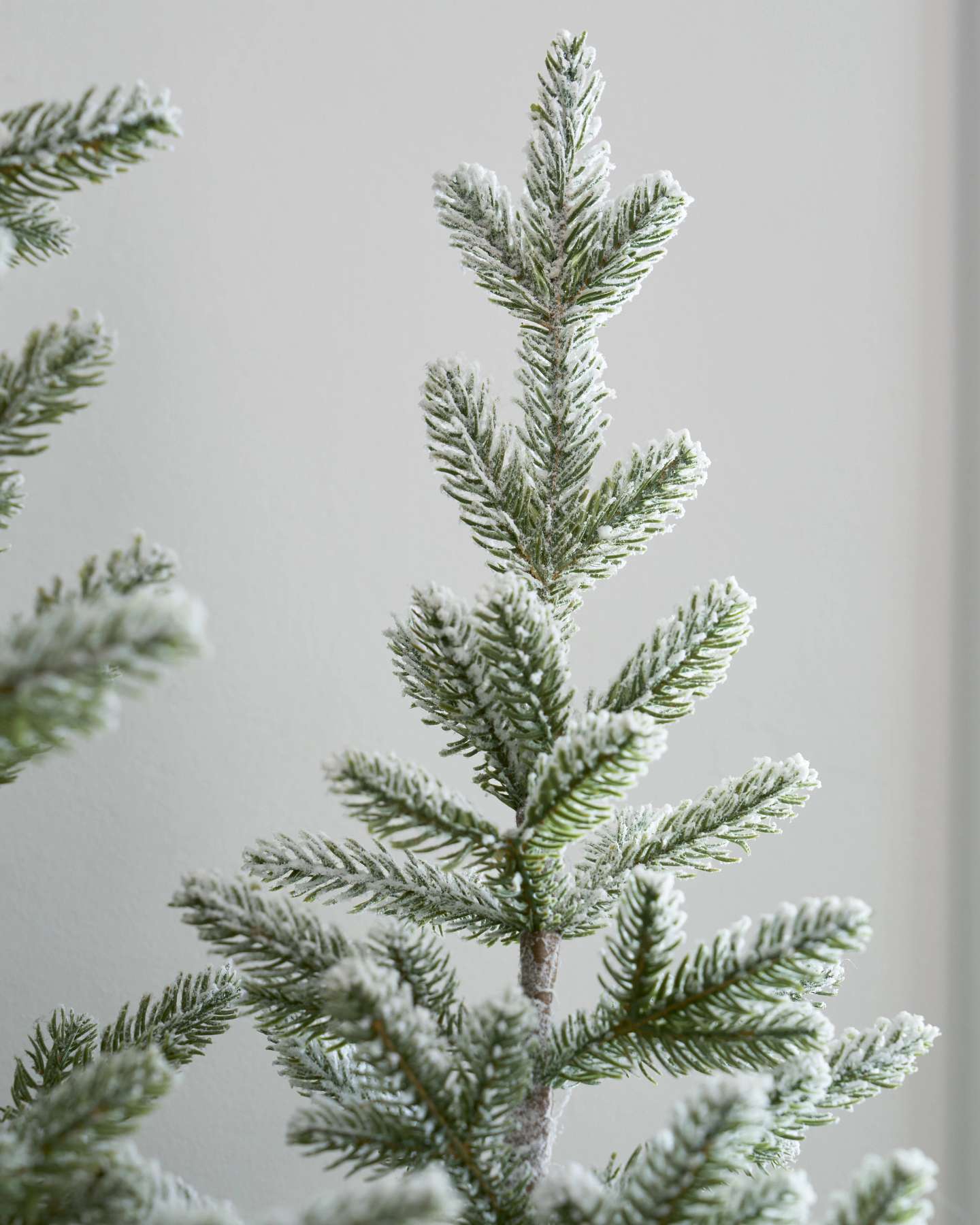Frosted Tabletop Trees with Burlap Base, Set of 2