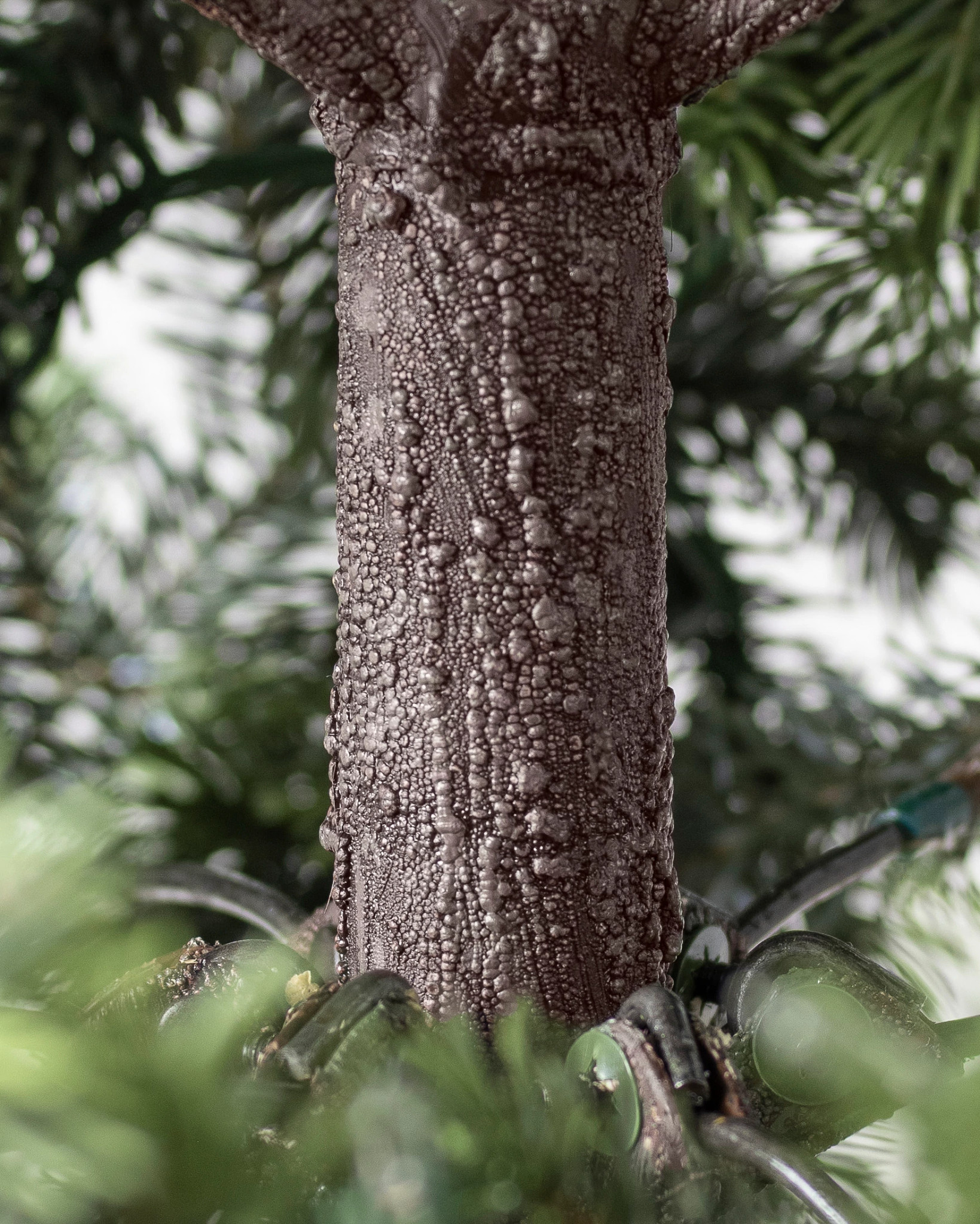 Yukon Spruce Artificial Christmas Tree | Balsam Hill