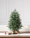 30in LED Balsam Fir Tabletop Tree by Balsam Hill SSC 10