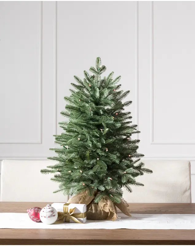 30in LED Balsam Fir Tabletop Tree by Balsam Hill SSC 10