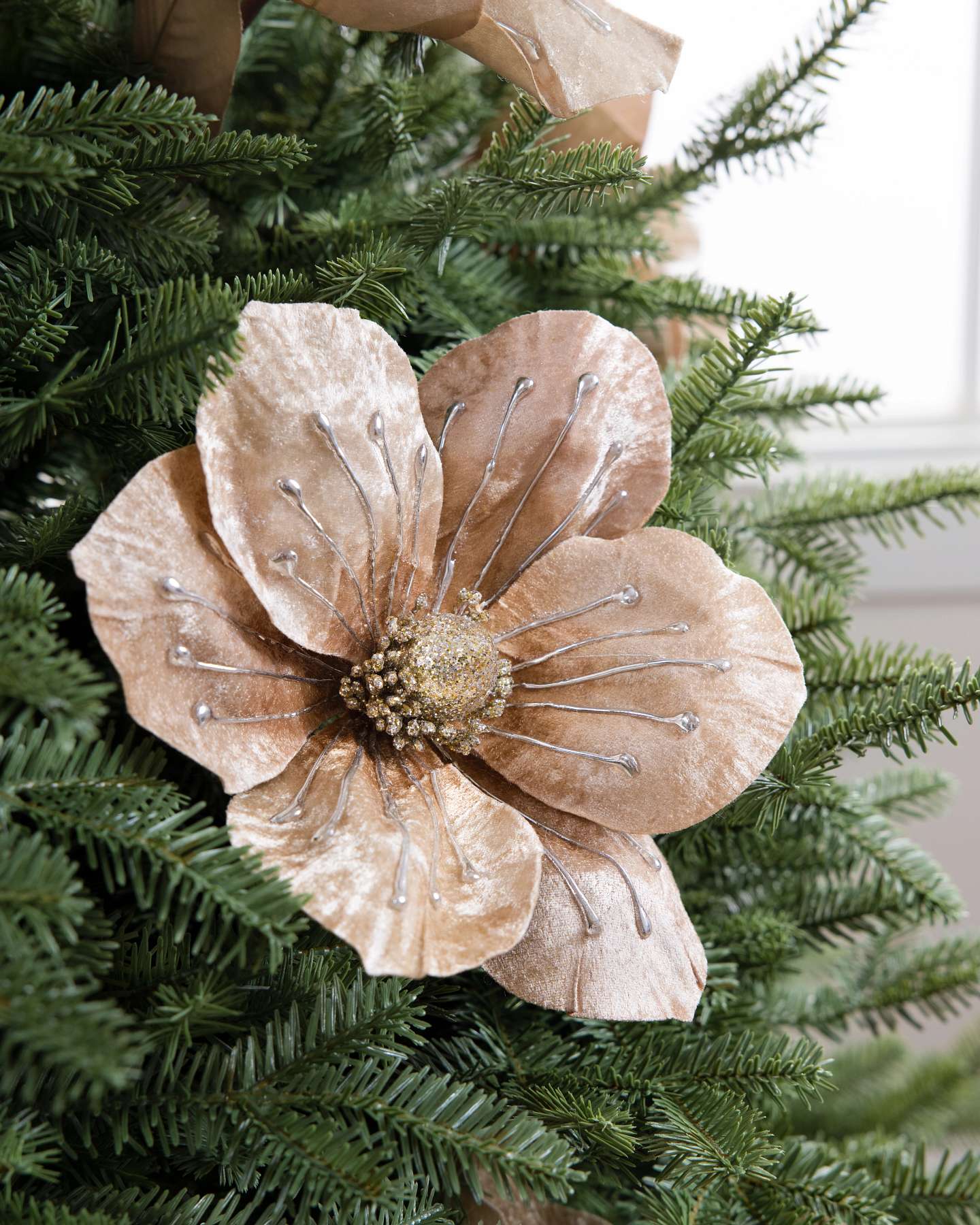 Balsam Hill Large Champagne Velvet Magnolia Artificial Christmas Tree Picks Set of 12 Displayed on Artificial Christmas Tree