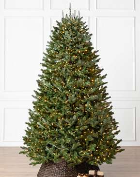 BH Fraser Fir Flip Tree® BH Fraser Fir Flip Tree®