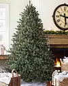 Classic Blue Spruce by Balsam Hill Lifestyle 30