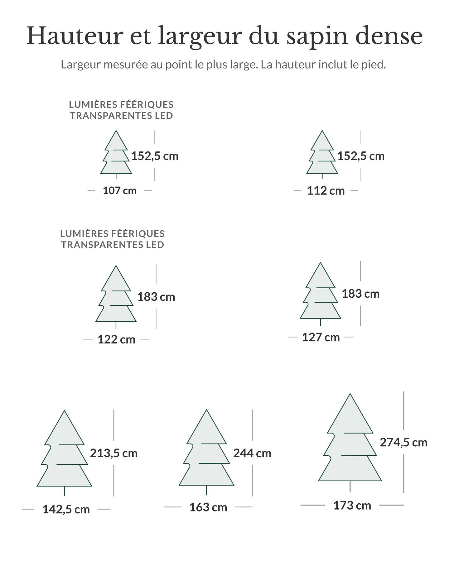 Sapin baumier