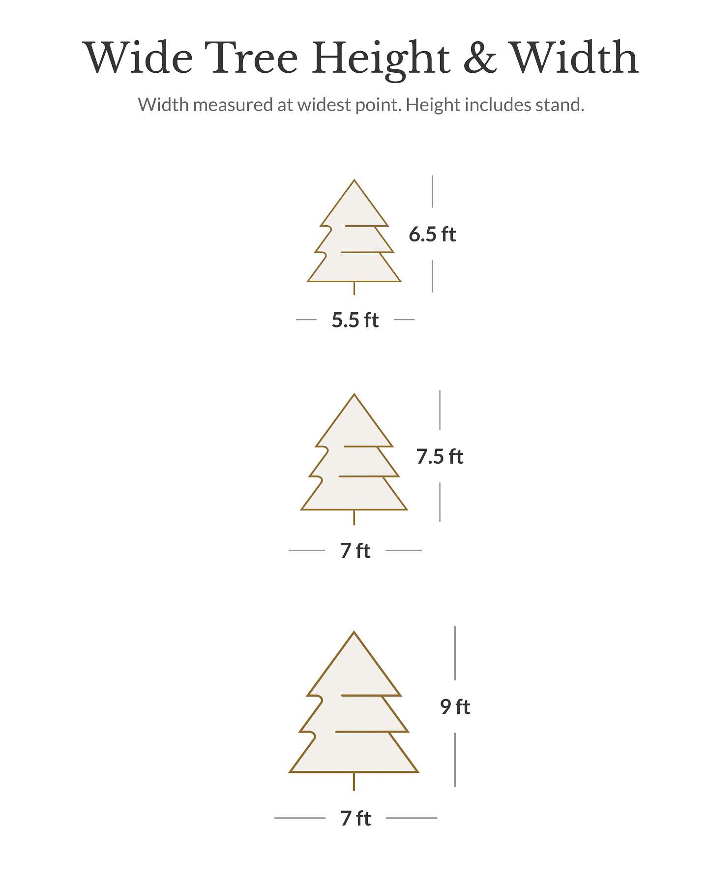 Vermont White Spruce Wide