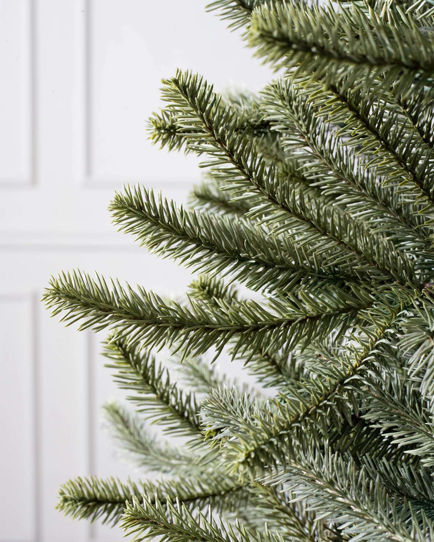 Branch Samples, Set of 16