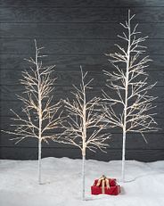 White twig trees with clear lights