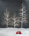 Indoor Outdoor LED Winter Birch Tree by Balsam Hill Lifestyle 10