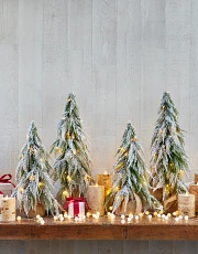 Pre-lit tabletop trees on wooden ledge