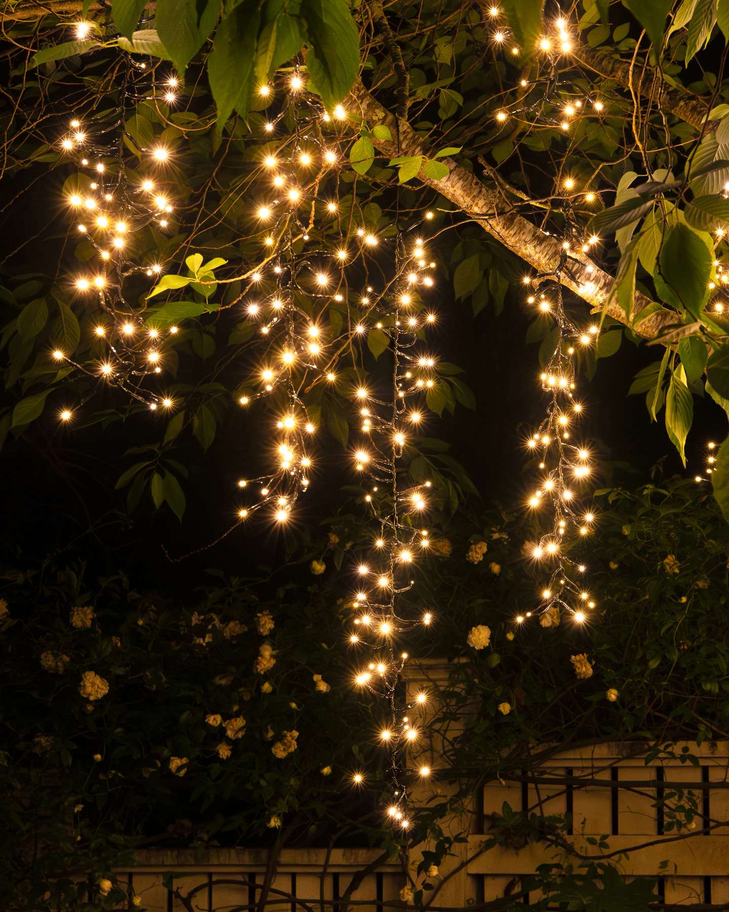 Balsam Hill Outdoor Cascade Tree Light String Close-Up View
