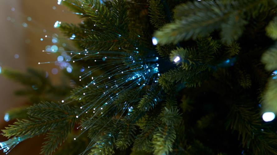 Fiber Optic Lights