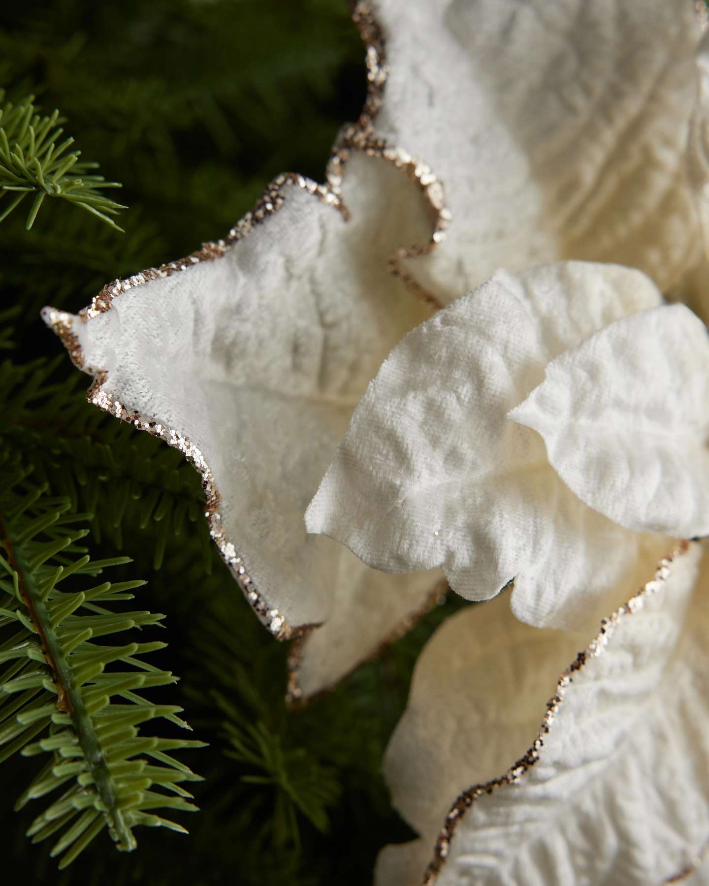 Ivory Classic Poinsettia Christmas Picks, Set of 12
