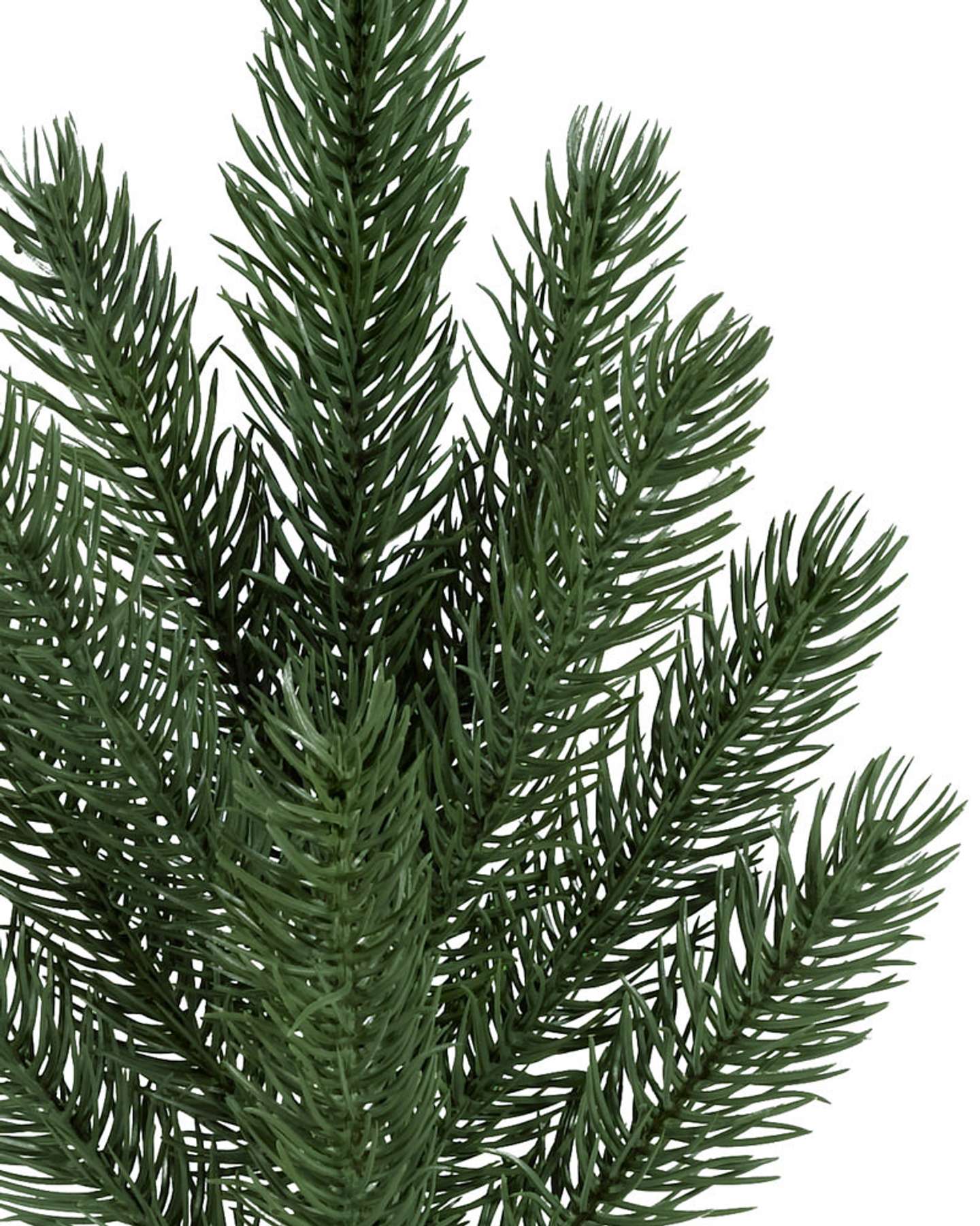 Balsam Hill Vermont White Spruce Christmas Wreath Featuring Lush Greenery