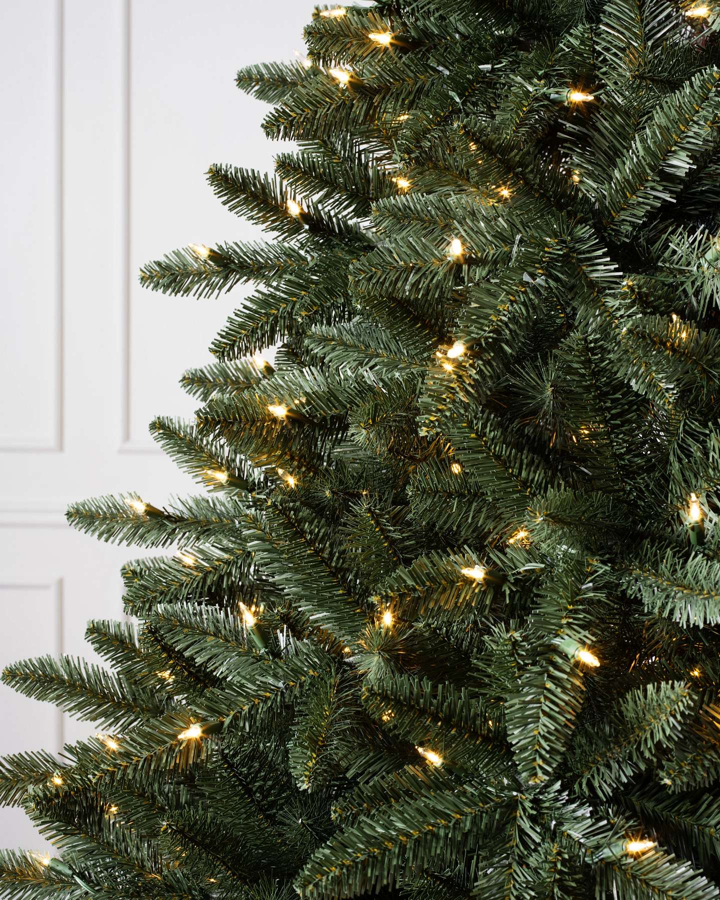 Classic Douglas Fir