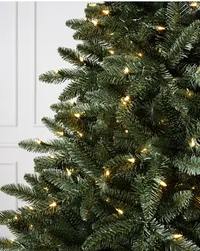 Classic Douglas Fir Classic Douglas Fir