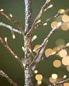 Champagne Glitter LED Tree by Balsam Hill