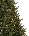 Vermont White Spruce Tree by Balsam Hill Closeup 10