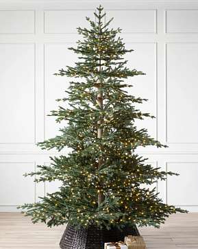 Aspen Silver Fir Aspen Silver Fir