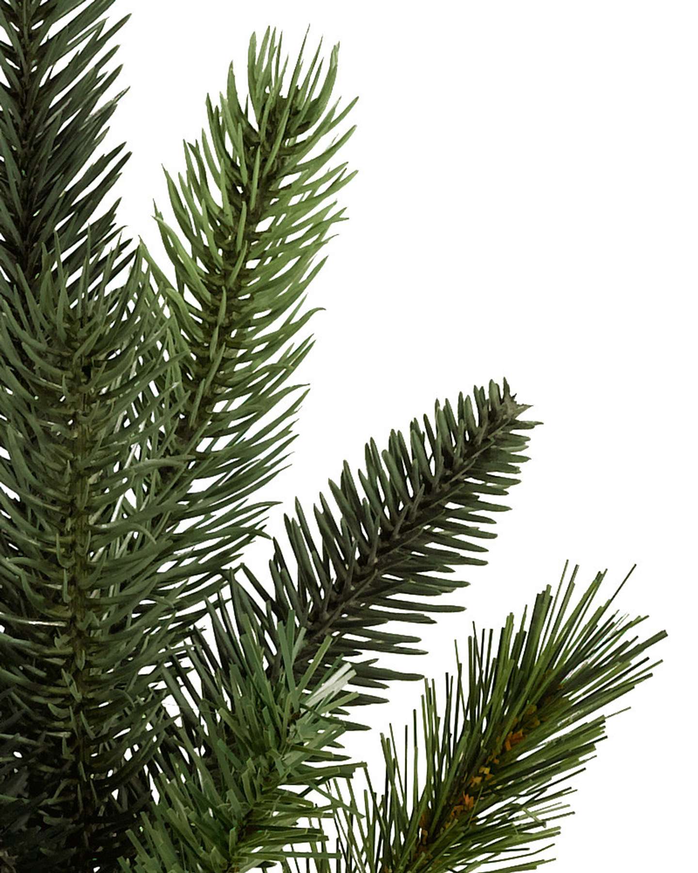 Balsam Hill California Baby Redwood Flip Artificial Christmas Tree Detail