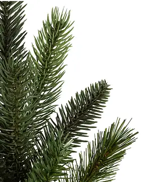 California Baby Redwood Flip Tree® California Baby Redwood Flip Tree®