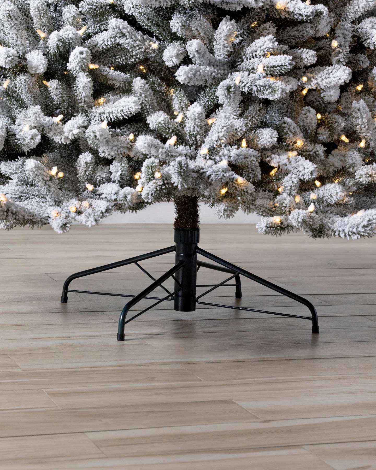 Frosted Vermont White Spruce
