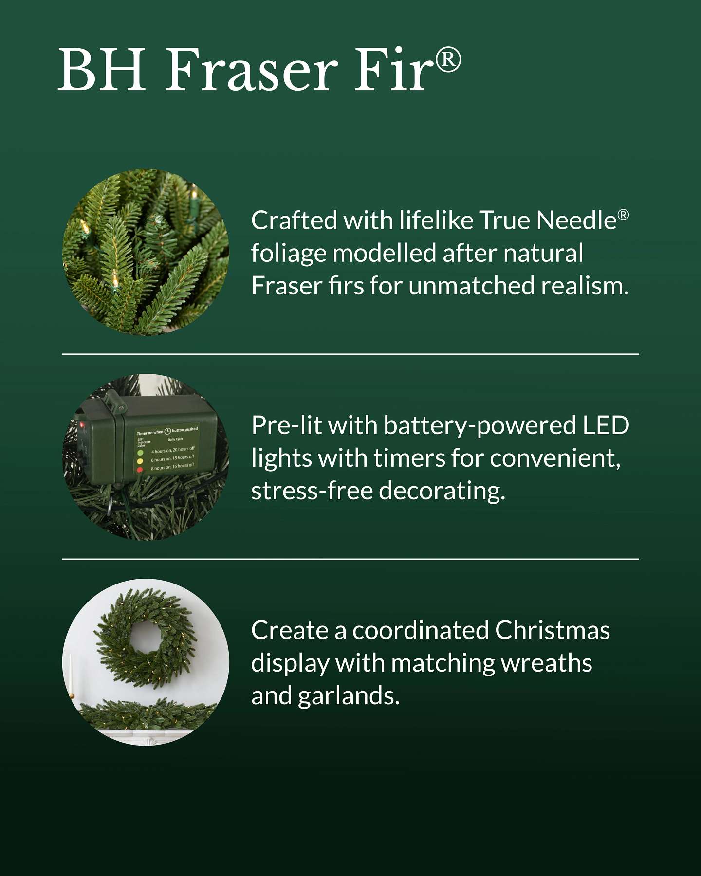 BH Fraser Fir Wreath