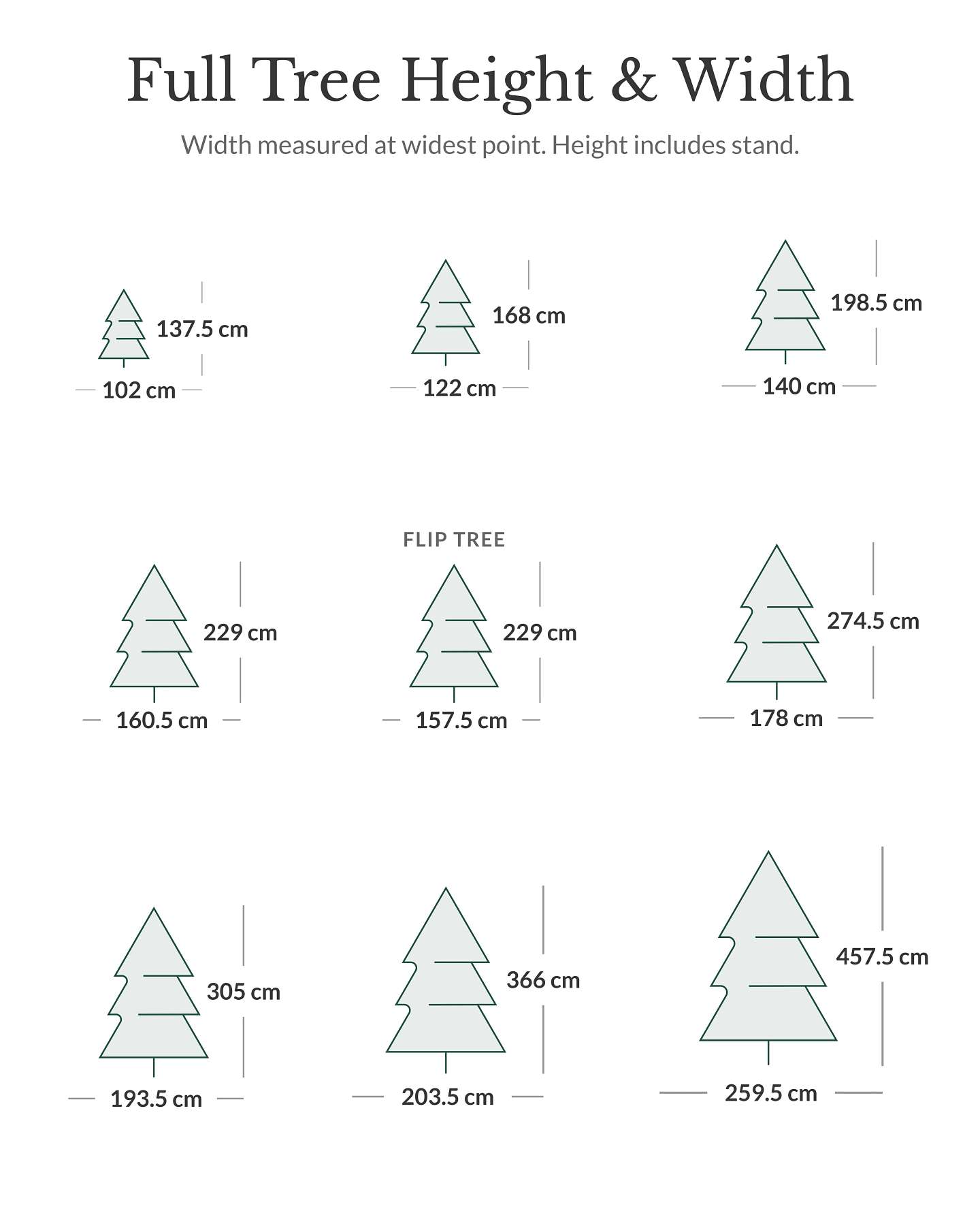 Vermont White Spruce Tree