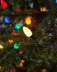 Colorful C7 Christmas lights glowing on a decorated tree branch