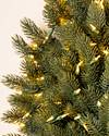 Vermont White Spruce Ultrabright Wreath by Balsam Hill Closeup 10