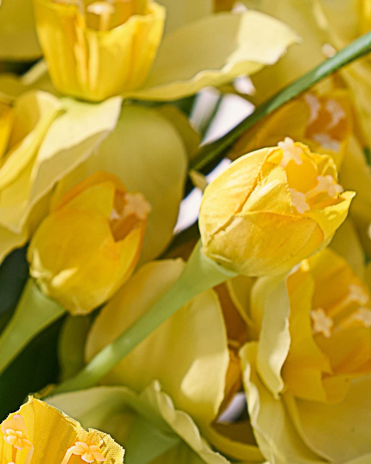 Golden Daffodil Foliage Pot Filler Set of 2 by Balsam Hill Branch Detail