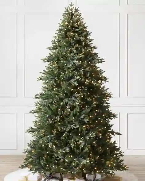 Colorado Mountain Spruce Tree by Balsam Hill SSC 10
