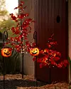 Outdoor LED Autumn Maple Tree by Balsam Hill Lifestyle 20