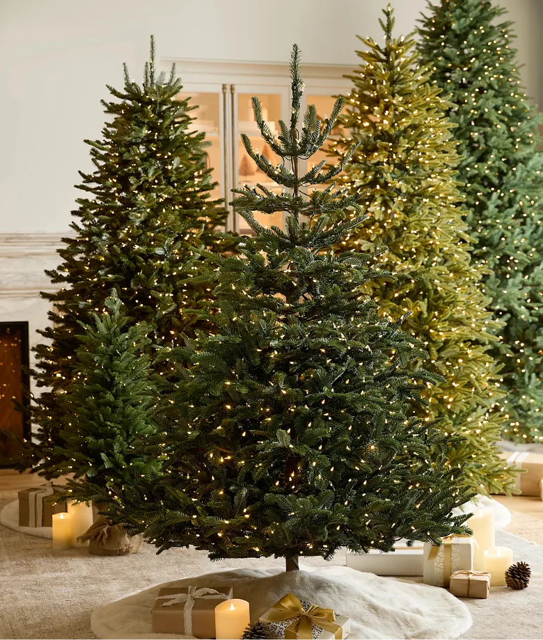 Shop Bestselling Trees