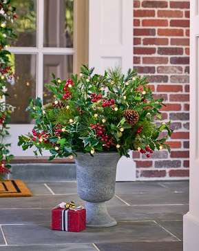 Holly Berry Potted Arrangement Holly Berry Potted Arrangement