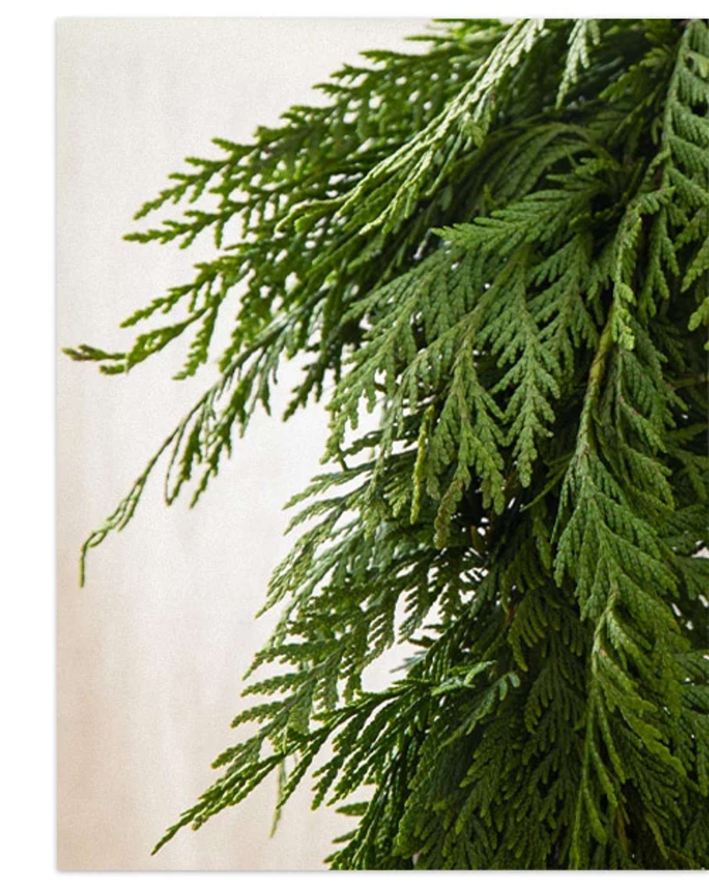 Balsam Hill 10-Feet Fresh Wispy Cedar Artificial Christmas Garland Holiday Design