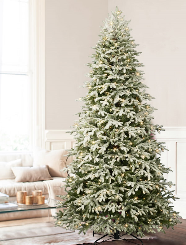 Frosted Fraser Fir® Narrow Christmas Tree Balsam Hill