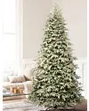 BH Frosted Fraser Fir Narrow by 欧宝体育comBalsam Hill Lifestyle 20