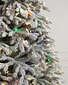 BH Frosted Fraser Fir by Balsam Hill Color + Clear LED Closeup