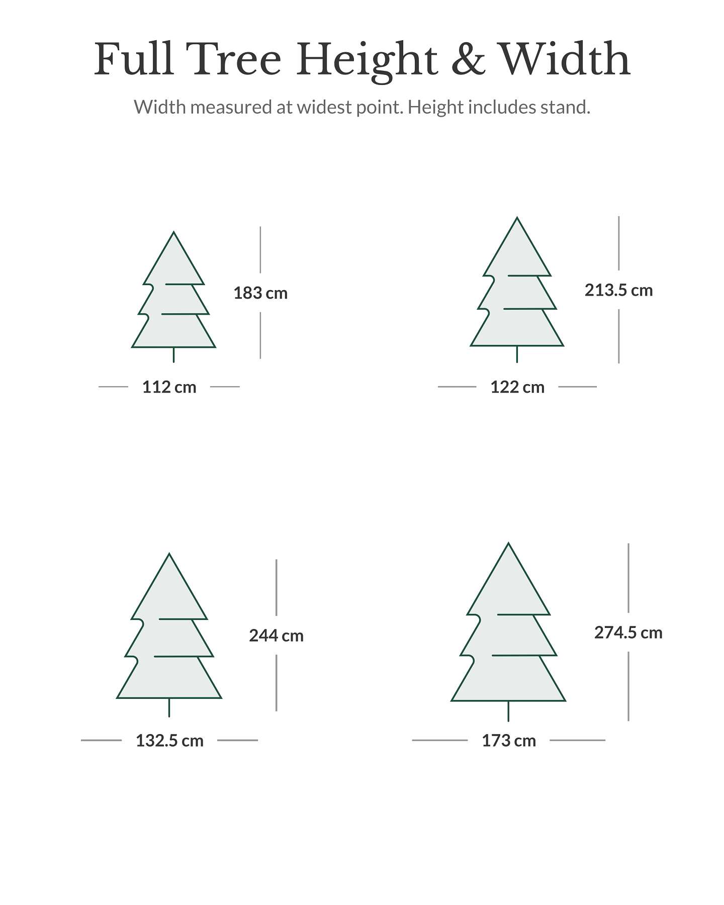 Canadian Blue Green Spruce